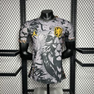 Netherlands 2024/25 Euro Jordan Version Jersey Player Version