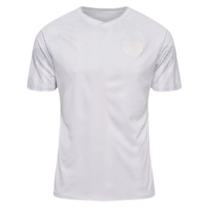 Denmark 2022 World Cup Away Jersey